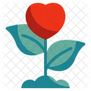 Plant Heart Love Icon