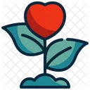 Plant Heart Love Icon