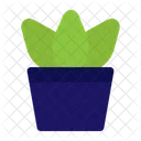 Nature Leaf Green Icon