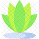 Plant Flower Nature Icon