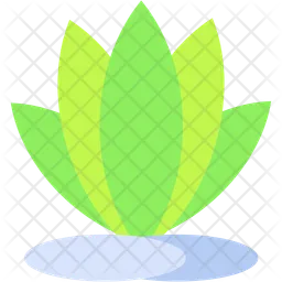 Plant  Icon