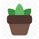 Plant Plants Pot Icon
