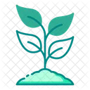 Plant Nature Leaves Icon