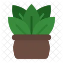 Plant 아이콘