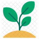 Nature Leaf Green Icon