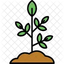 Plant Nature Leaf Icon