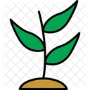 Plant Nature Leaf Icon