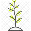 Plant Nature Leaf Icon