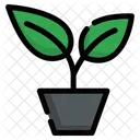 Plant Leaf Pot Icon