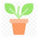 Plant Sprout Grow Icon