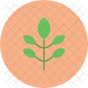 Plant Nature Leaf Icon