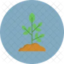 Plant Nature Leaf Icon