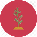 Plant Nature Leaf Icon