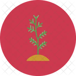 Plant  Icon