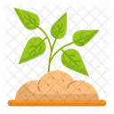 Leaves Leaf Planting Icon