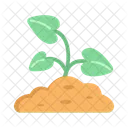 Gardening Plant Garden Icon