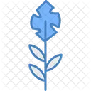 Plant Nature Leaf Icon