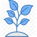 Plant Nature Leaf Icon