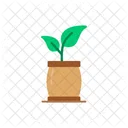 Plant Grow Growing Icon