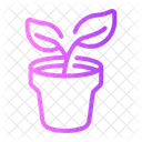 Plant Flower Pot Nature Icon