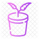 Plant Botanic Flower Pot Icon