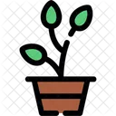 Plant Greenery Foliage Icon