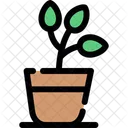 Plant Greenery Foliage Icon