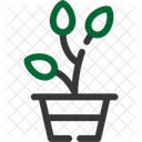 Plant Greenery Foliage Icon