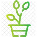 Plant Greenery Foliage Icon