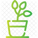 Plant Greenery Foliage Icon