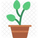 Plant Greenery Foliage Icon