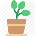 Plant Greenery Foliage Icon