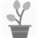 Plant Greenery Foliage Icon