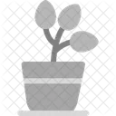 Plant Greenery Foliage Icon