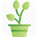 Plant Greenery Foliage Icon
