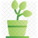Plant Greenery Foliage Icon