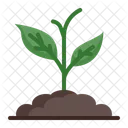 Plant Icon