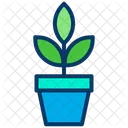 Plant Pot Pot Natural Icon