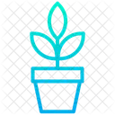 Plant Pot Pot Natural Icon