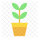 Plant Pot Eco Icon