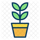 Plant Pot Eco Icon