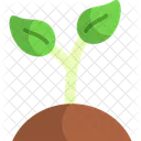 Plant Nature Agriculture Icon