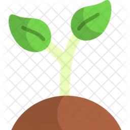 Plant  Icon