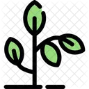Plant Greenery Foliage Icon