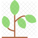 Plant Greenery Foliage Icon