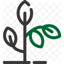 Plant Greenery Foliage Icon