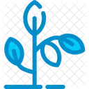 Plant Greenery Foliage Icon