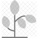 Plant Greenery Foliage Icon