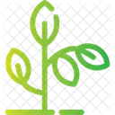Plant Greenery Foliage Icon