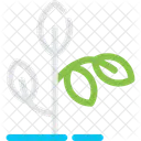 Plant Greenery Foliage Icon